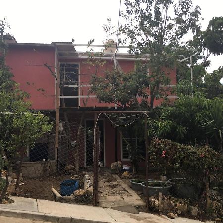 La Casa Del Nenufar Hotel Oaxaca Bagian luar foto