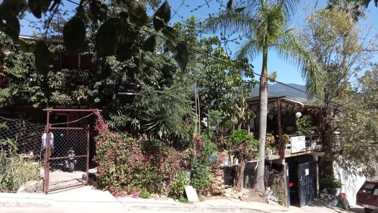 La Casa Del Nenufar Hotel Oaxaca Bagian luar foto