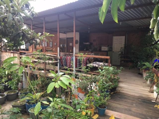 La Casa Del Nenufar Hotel Oaxaca Bagian luar foto